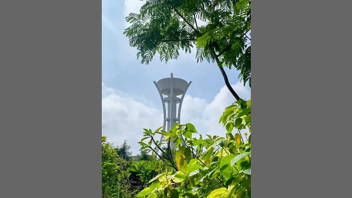 ESR – view 2